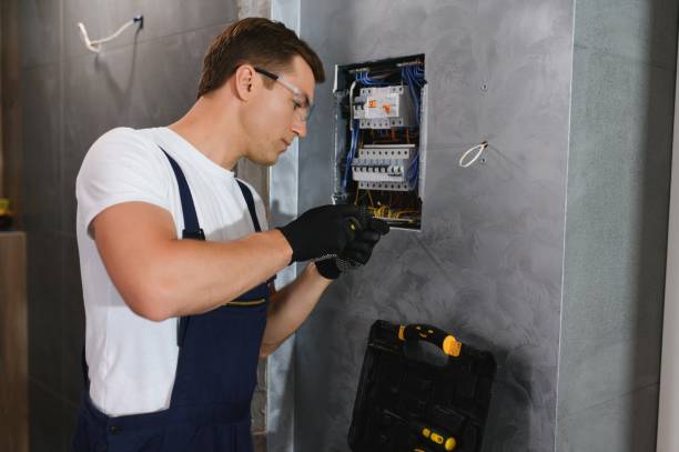Best Electrician for Home Renovation  in North Braddock, PA